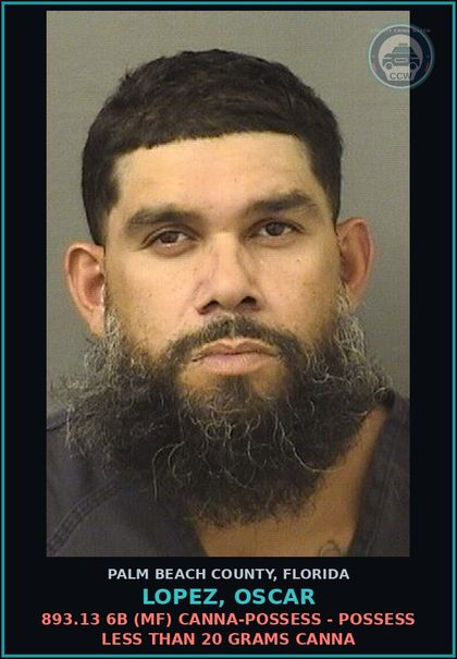 CCW arrest card for LOPEZ, OSCAR in Palm Beach County: 893.13 6B (MF) Canna-POSSESS - POSSESS LESS THAN 20 GRAMS Canna