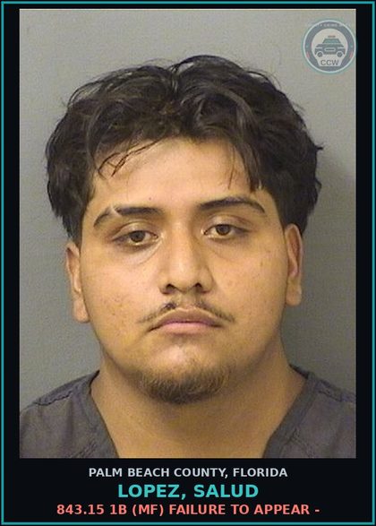 CCW arrest card for LOPEZ, SALUD in Palm Beach County: 843.15 1B (MF) FAILURE TO APPEAR -