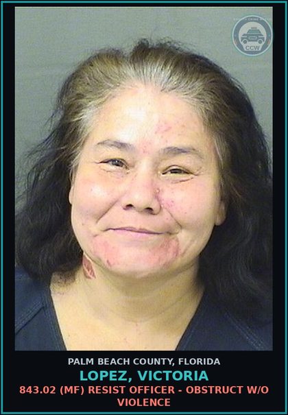 CCW arrest card for LOPEZ, VICTORIA in Palm Beach County: 843.02 (MF) RESIST OFFICER - OBSTRUCT W/O VIOLENCE