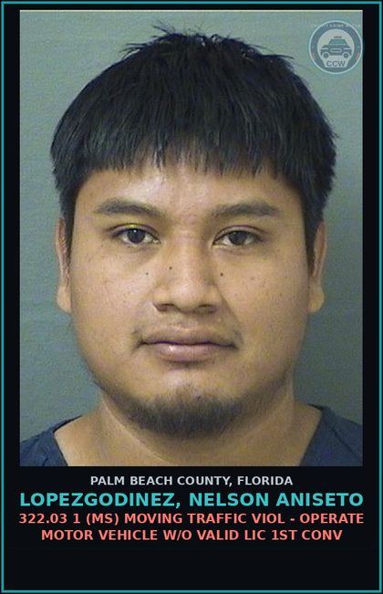 CCW arrest card for LOPEZGODINEZ, NELSON ANISETO in Palm Beach County: 322.03 1 (MS) MOVING TRAFFIC VIOL - OPERATE MOTOR VEHICLE W/O VALID LIC 1ST CONV