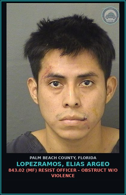 CCW arrest card for LOPEZRAMOS, ELIAS ARGEO in Palm Beach County: 856.021 (MS) LOITERING - LOITER/PROWL IN UNSUAL PLACE OR MANNER