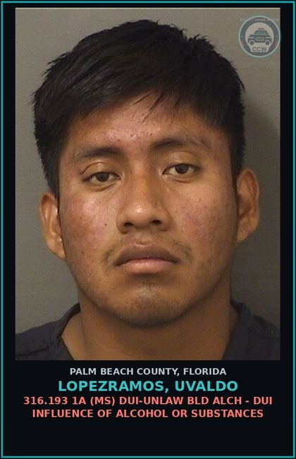CCW arrest card for LOPEZRAMOS, UVALDO in Palm Beach County: 893.13 6A (FT) DRUGS-POSSESS - POSSESS contr substance W/O PRESCRIPTION