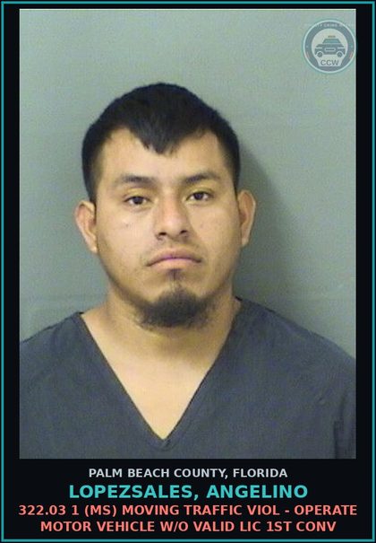 CCW arrest card for LOPEZSALES, ANGELINO in Palm Beach County: 322.03 1 (MS) MOVING TRAFFIC VIOL - OPERATE MOTOR VEHICLE W/O VALID LIC 1ST CONV