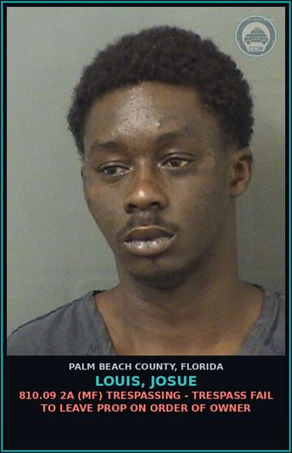 CCW arrest card for LOUIS, JOSUE in Palm Beach County: 856.011 (MS) DISORDERLY INTOX - DISORDER INTOX PUBLIC PLACE CAUSE DISTURBANCE
