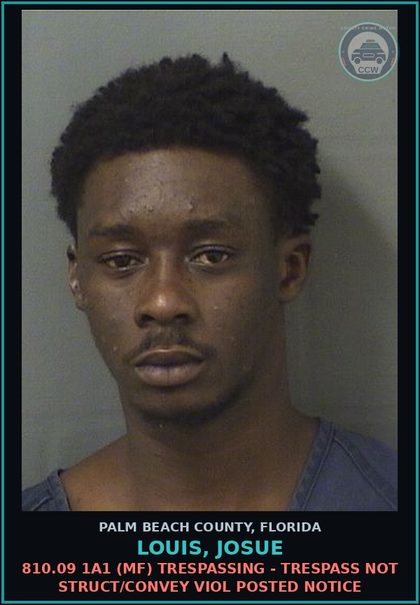 CCW arrest card for LOUIS, JOSUE in Palm Beach County: 810.09 1A1 (MF) TRESPASSING - TRESPASS NOT STRUCT/CONVEY VIOL POSTED NOTICE