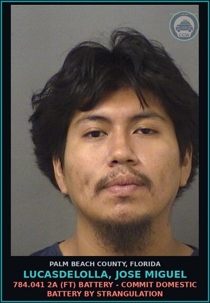 CCW arrest card for LUCASDELOLLA, JOSE MIGUEL in Palm Beach County: 784.03 1A1 (MF) BATTERY - TOUCH OR STRIKE