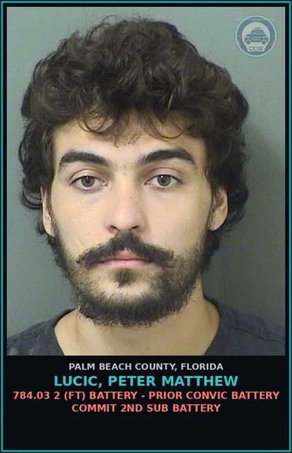 CCW arrest card for LUCIC, PETER MATTHEW in Palm Beach County: 784.03 2 (FT) BATTERY - PRIOR CONVIC BATTERY COMMIT 2ND SUB BATTERY