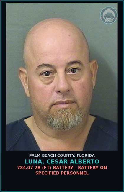 CCW arrest card for LUNA, CESAR ALBERTO in Palm Beach County: 316.193 3C1 (MF) DUI-UNLAW BLD ALCH - DUI DAMAGE TO PROPERTY OR PERSON OF ANOTHER