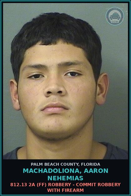 CCW arrest card for MACHADOLIONA, AARON NEHEMIAS in Palm Beach County: 812.13 2A (FF) ROBBERY - COMMIT ROBBERY WITH FIREARM