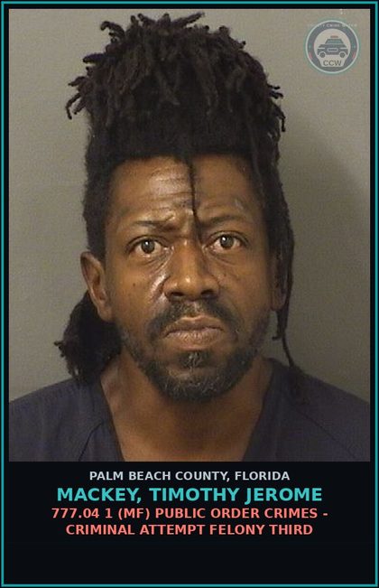 CCW arrest card for MACKEY, TIMOTHY JEROME in Palm Beach County: 777.04 1 (MF) PUBLIC ORDER CRIMES - CRIMINAL ATTEMPT FELONY THIRD