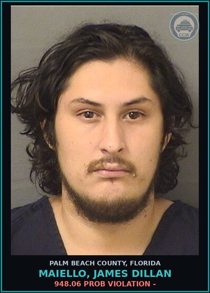 CCW arrest card for MAIELLO, JAMES DILLAN in Palm Beach County: 948.06 PROB VIOLATION -