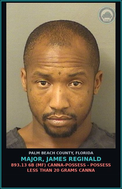 CCW arrest card for MAJOR, JAMES REGINALD in Palm Beach County: 893.13 6B (MF) Canna-POSSESS - POSSESS LESS THAN 20 GRAMS Canna