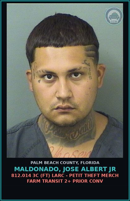 CCW arrest card for MALDONADO, JOSE ALBERT Jr in Palm Beach County: 812.014 3C (FT) LARC - PETIT THEFT MERCH FARM TRANSIT 2+ PRIOR CONV