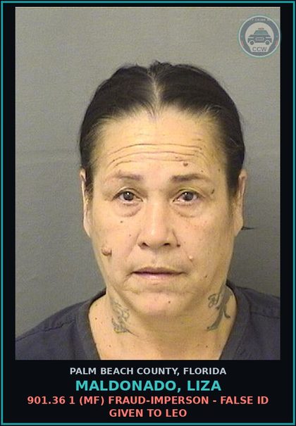 CCW arrest card for MALDONADO, LIZA in Palm Beach County: 812.014 3C (FT) LARC - PETIT THEFT MERCH FARM TRANSIT 2+ PRIOR CONV