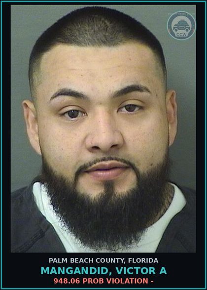 CCW arrest card for MANGANDID, VICTOR A in Palm Beach County: 948.06 PROB VIOLATION -