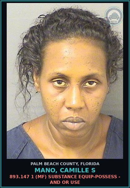 CCW arrest card for MANO, CAMILLE S in Palm Beach County: 893.147 1 (MF) DRUG EQUIP-POSSESS - AND OR USE