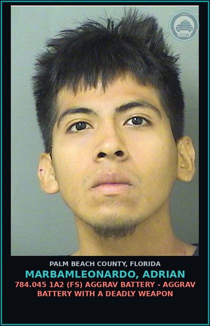 CCW arrest card for MARBAMLEONARDO, ADRIAN in Palm Beach County: 784.045 1A2 (FS) AGGRAV BATTERY - AGGRAV BATTERY WITH A DEADLY WEAPON