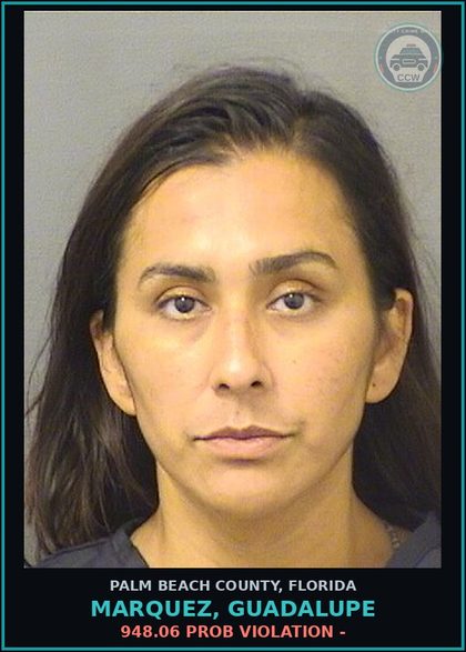 CCW arrest card for MARQUEZ, GUADALUPE in Palm Beach County: 948.06 PROB VIOLATION -