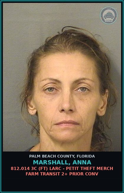 CCW arrest card for MARSHALL, ANNA in Palm Beach County: 812.014 3C (FT) LARC - PETIT THEFT MERCH FARM TRANSIT 2+ PRIOR CONV