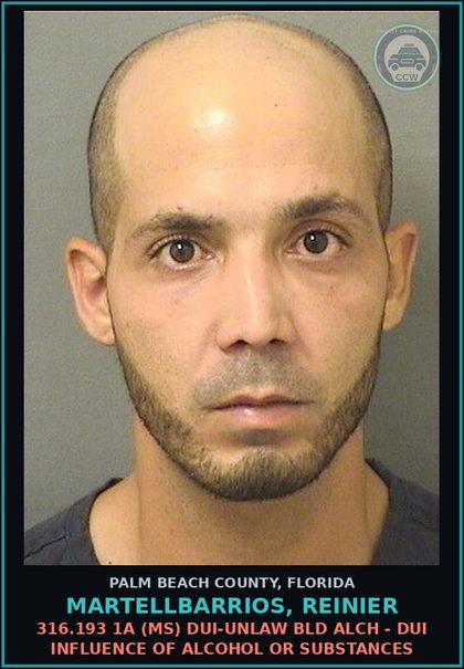 CCW arrest card for MARTELLBARRIOS, REINIER in Palm Beach County: 316.193 1A (MS) DUI-UNLAW BLD ALCH - DUI INFLUENCE OF ALCOHOL OR DRUGS