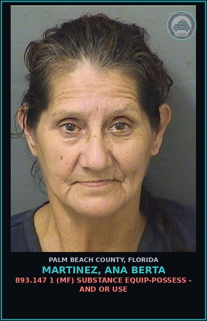 CCW arrest card for MARTINEZ, ANA BERTA in Palm Beach County: 893.13 6A (FT) DRUGS-POSSESS - POSSESS contr substance W/O PRESCRIPTION