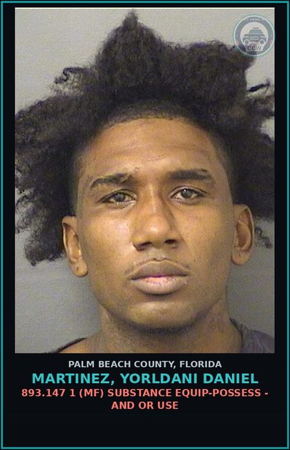 CCW arrest card for MARTINEZ, YORLDANI DANIEL in Palm Beach County: 893.13 6A (FT) DRUGS-POSSESS - POSSESS contr substance W/O PRESCRIPTION