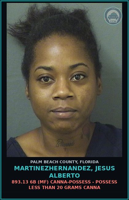 CCW arrest card for MARTINEZHERNANDEZ, JESUS ALBERTO in Palm Beach County: 893.13 6B (MF) Canna-POSSESS - POSSESS LESS THAN 20 GRAMS Canna