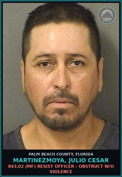 CCW arrest card for MARTINEZMOYA, JULIO CESAR in Palm Beach County: 843.02 (MF) RESIST OFFICER - OBSTRUCT W/O VIOLENCE