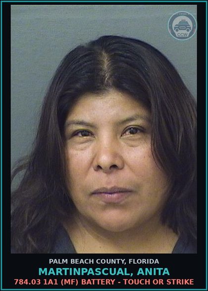 CCW arrest card for MARTINPASCUAL, ANITA in Palm Beach County: 784.03 1A1 (MF) BATTERY - TOUCH OR STRIKE