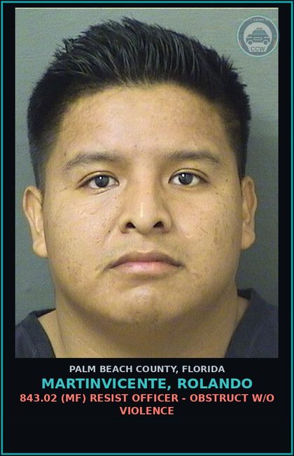 CCW arrest card for MARTINVICENTE, ROLANDO in Palm Beach County: 843.02 (MF) RESIST OFFICER - OBSTRUCT W/O VIOLENCE