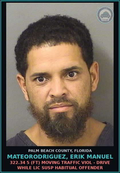 CCW arrest card for MATEORODRIGUEZ, ERIK MANUEL in Palm Beach County: 322.34 5 (FT) MOVING TRAFFIC VIOL - DRIVE WHILE LIC SUSP HABITUAL OFFENDER