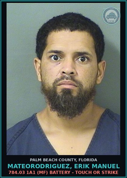 CCW arrest card for MATEORODRIGUEZ, ERIK MANUEL in Palm Beach County: 784.03 1A1 (MF) BATTERY - TOUCH OR STRIKE