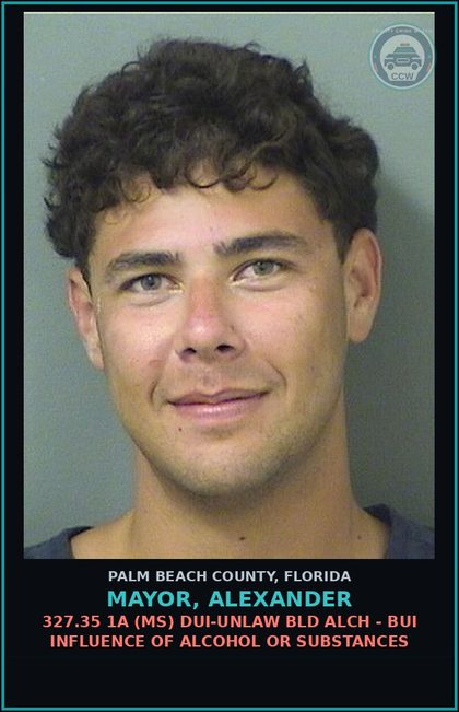 CCW arrest card for MAYOR, ALEXANDER in Palm Beach County: 327.35 1A (MS) DUI-UNLAW BLD ALCH - BUI INFLUENCE OF ALCOHOL OR DRUGS