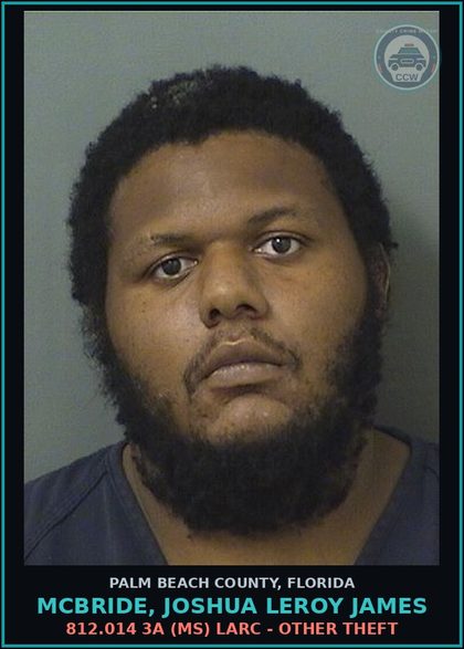 CCW arrest card for MCBRIDE, JOSHUA LEROY JAMES in Palm Beach County: 812.014 3A (MS) LARC - OTHER THEFT