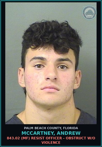 CCW arrest card for MCCARTNEY, ANDREW in Palm Beach County: 843.02 (MF) RESIST OFFICER - OBSTRUCT W/O VIOLENCE