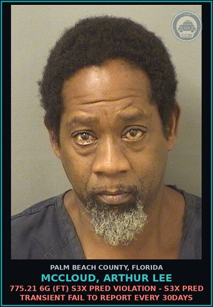CCW arrest card for MCCLOUD, ARTHUR LEE in Palm Beach County: 775.21 6G (FT) s3x PRED VIOLATION - s3x PRED TRANSIENT FAIL TO REPORT EVERY 30DAYS