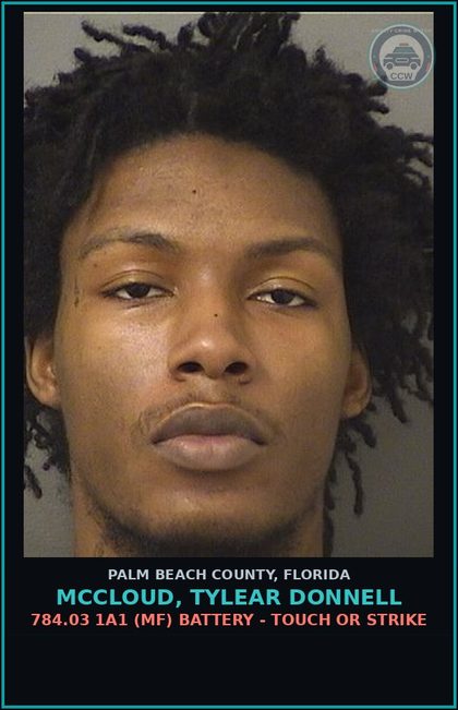 CCW arrest card for MCCLOUD, TYLEAR DONNELL in Palm Beach County: 784.03 1A1 (MF) BATTERY - TOUCH OR STRIKE