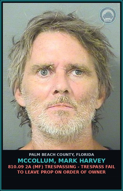 CCW arrest card for MCCOLLUM, MARK HARVEY in Palm Beach County: 812.014 3A (MS) LARC - OTHER THEFT