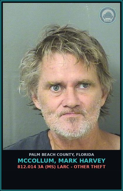 CCW arrest card for MCCOLLUM, MARK HARVEY in Palm Beach County: 812.014 3A (MS) LARC - OTHER THEFT