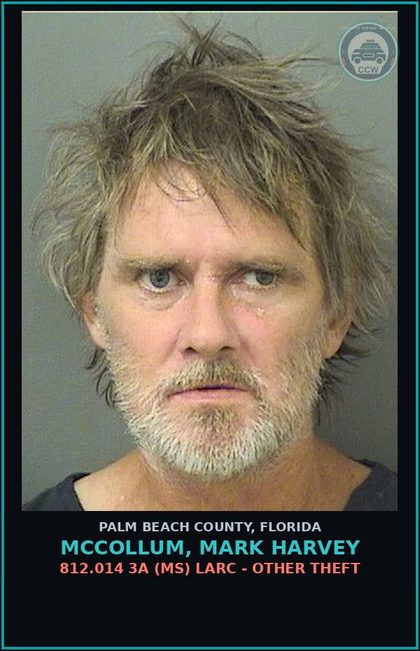 CCW arrest card for MCCOLLUM, MARK HARVEY in Palm Beach County: 812.014 3A (MS) LARC - OTHER THEFT