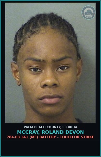 CCW arrest card for MCCRAY, ROLAND DEVON in Palm Beach County: 784.03 1A1 (MF) BATTERY - TOUCH OR STRIKE