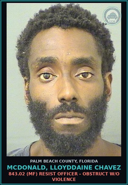 CCW arrest card for MCDONALD, LLOYDDAINE CHAVEZ in Palm Beach County: 893.147 1 (MF) DRUG EQUIP-POSSESS - AND OR USE