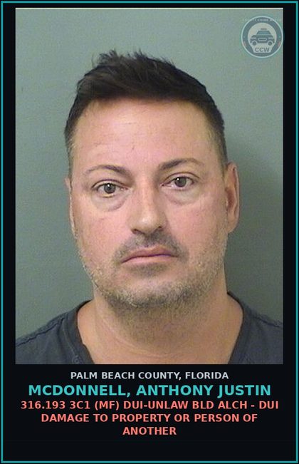 CCW arrest card for MCDONNELL, ANTHONY JUSTIN in Palm Beach County: 316.193 3C1 (MF) DUI-UNLAW BLD ALCH - DUI DAMAGE TO PROPERTY OR PERSON OF ANOTHER