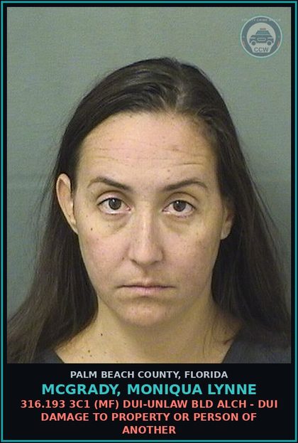 CCW arrest card for MCGRADY, MONIQUA LYNNE in Palm Beach County: 316.193 3C1 (MF) DUI-UNLAW BLD ALCH - DUI DAMAGE TO PROPERTY OR PERSON OF ANOTHER