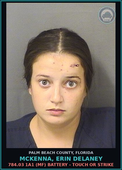 CCW arrest card for MCKENNA, ERIN DELANEY in Palm Beach County: 784.03 1A1 (MF) BATTERY - TOUCH OR STRIKE