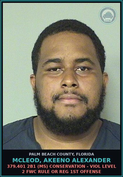 CCW arrest card for MCLEOD, AKEENO ALEXANDER in Palm Beach County: 379.401 2B1 (MS) CONSERVATION - VIOL LEVEL 2 FWC RULE OR REG 1ST OFFENSE