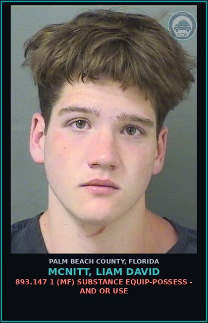 CCW arrest card for MCNITT, LIAM DAVID in Palm Beach County: 893.147 1 (MF) DRUG EQUIP-POSSESS - AND OR USE