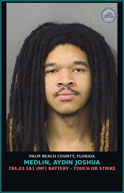 CCW arrest card for MEDLIN, AYDIN JOSHUA in Palm Beach County: 784.03 1A1 (MF) BATTERY - TOUCH OR STRIKE