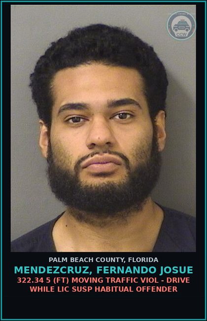 CCW arrest card for MENDEZCRUZ, FERNANDO JOSUE in Palm Beach County: 322.34 5 (FT) MOVING TRAFFIC VIOL - DRIVE WHILE LIC SUSP HABITUAL OFFENDER