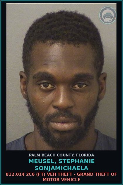 CCW arrest card for MEUSEL, STEPHANIE SONJAMICHAELA in Palm Beach County: 812.014 2C6 (FT) VEH THEFT - GRAND THEFT OF MOTOR VEHICLE
